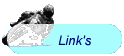 Link's